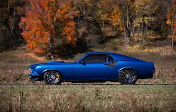 Mustang, Ford, 1969, Ford Mustang, Blue, Side, Road, Forest