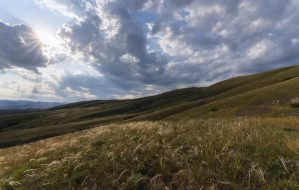 Grass, beauty, horizon, space, meadows, Julia Maltseva