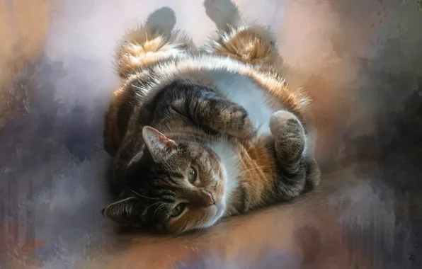Cat, cat, background, treatment, lies, oil painting, thick, thick