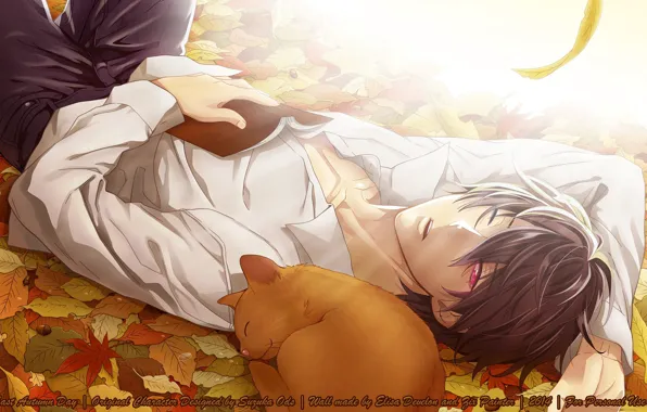 Autumn, light, stay, sleep, book, guy, acorns, Psychic Detective Yakumo