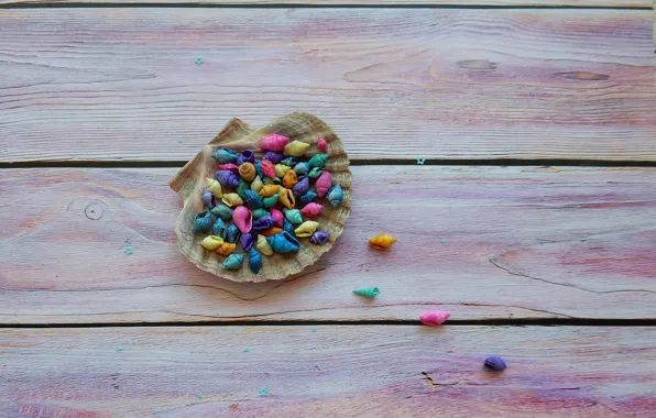 Beautiful, фон background, HD wallpapers, decoration, widescreen, fullscree, colored shells, colored shells