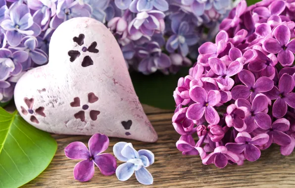 Flowers, heart, branch, spring, heart, lilac