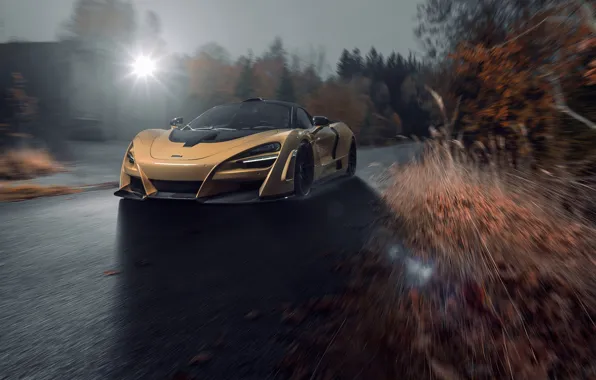 McLaren, speed, supercar, 2018, Novitec, N-Largo, 720S