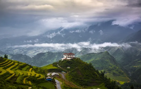 Mountains, nature, valley, house in the mountains, tea plantation