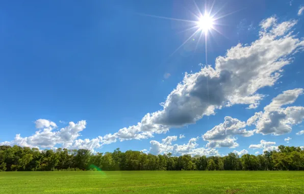 Picture the sky, clouds, trees, meadow, Sunny day, the sun