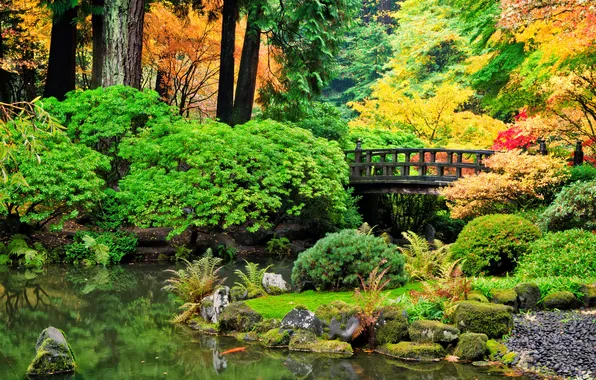 Picture autumn, trees, bridge, pond, Park, stones, the bushes