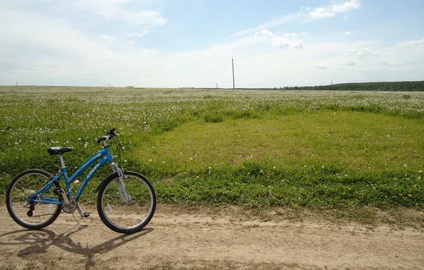 Picture road, field, summer, the sky, grass, bike, dandelions