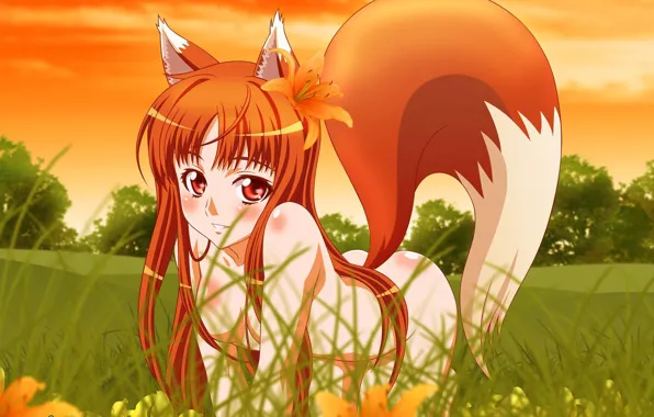 Picture flower, look, girl, nature, mood, Wolf and spices, wolf, Horo