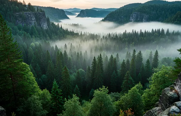Picture the sky, trees, mountains, fog, Wallpaper, valley, wallpaper, sky