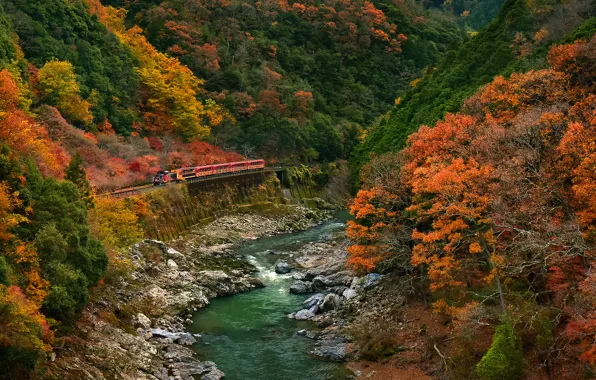 Road, autumn, forest, trees, mountains, river, stones, train