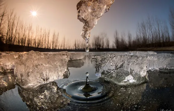 Water, the sun, macro, drop, ice, spring