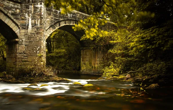 Picture bridge, nature, river