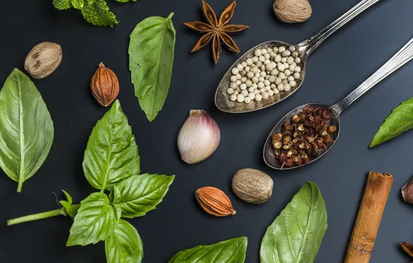 Pepper, nuts, cinnamon, spices, spices, garlic, Anis, arugula