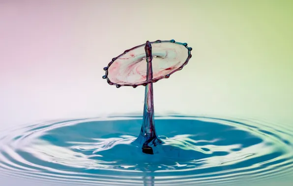 Water, squirt, splash