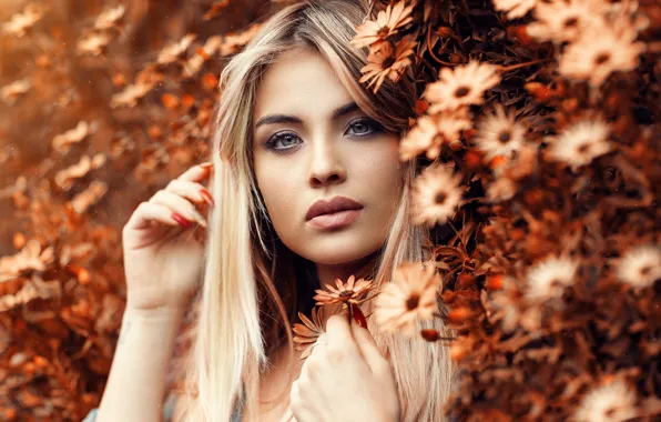 Girl, flowers, face, makeup, blonde, Alessandro Di Cicco