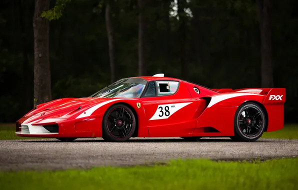 Picture road, auto, Ferrari, red, FXX