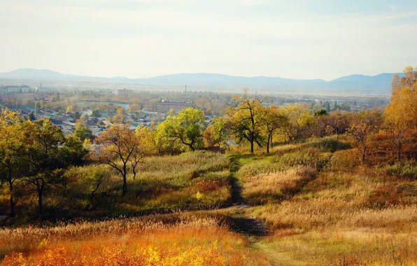 Autumn, trees, nature, the city, Arsenyev