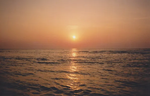 Picture sea, summer, sunset, horizon