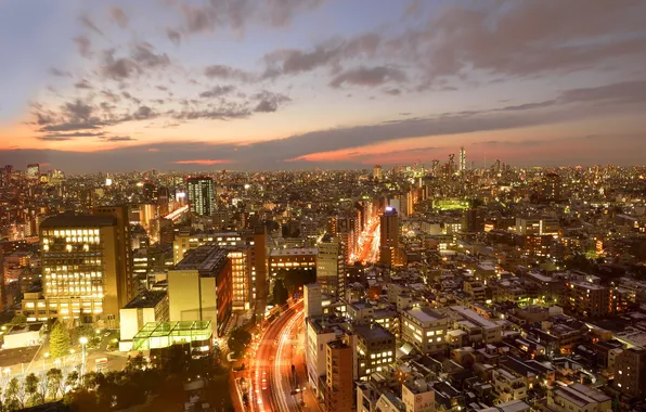 Picture lights, home, skyscrapers, Tokyo, twilight, megapolis