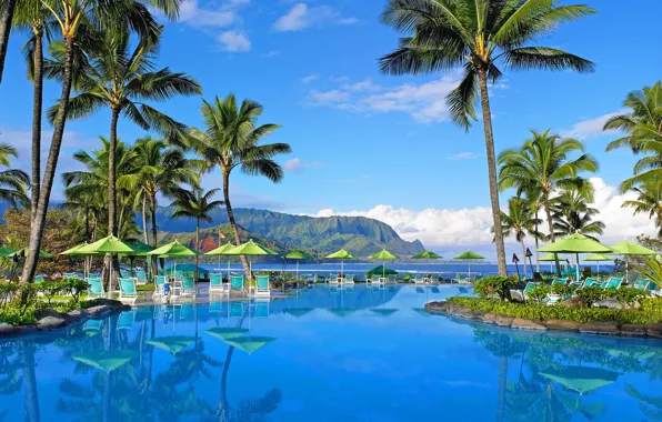Mountains, palm trees, pool, Hawaii, the hotel