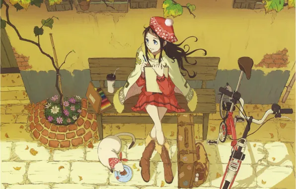 Cat, flowers, bench, bike, pencils, album, Girl, pot