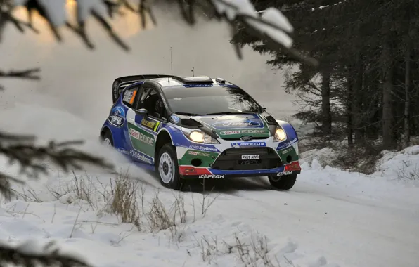 Picture Ford, Winter, Snow, Ford, WRC, Rally, Rally, Fiesta