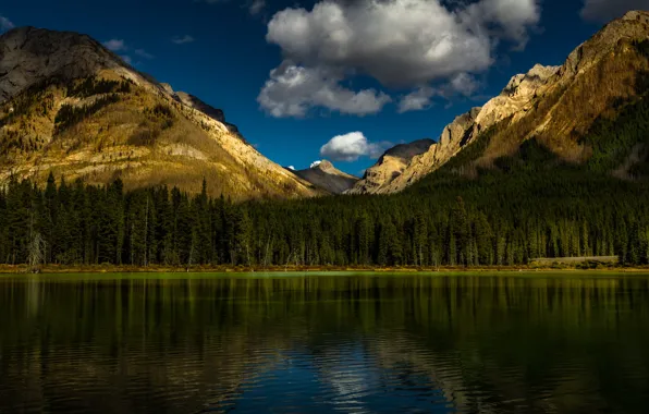 Forest, clouds, trees, mountains, lake, reflection, blue, shore