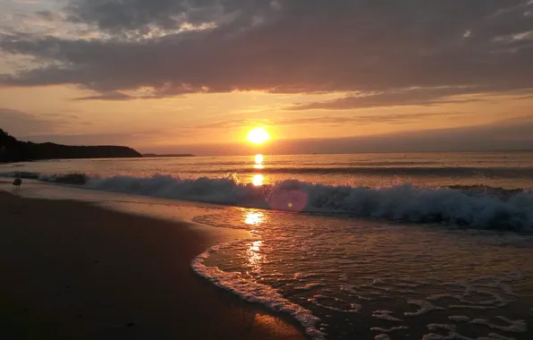 Picture sea, sunset, nature