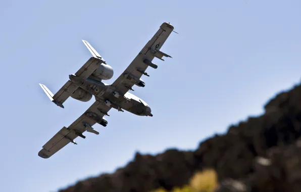 Beauty, Americans, A10, Aircrafts