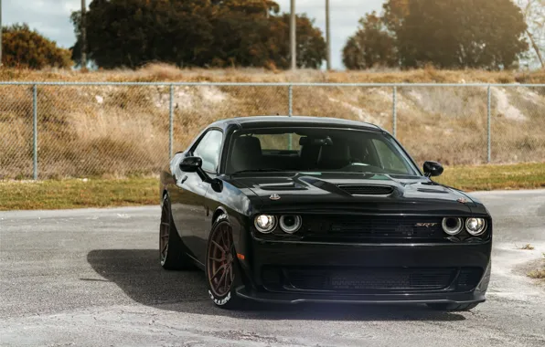 Picture Dodge, Challenger, Black, Series, Hellcat, SRT, Track, Spec