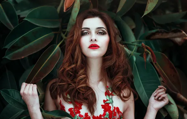 Picture makeup, curls, Ronny Garcia, Red as blood, sponge, leaves