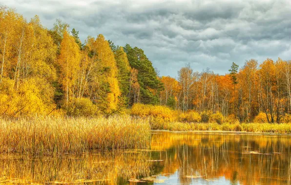 Autumn, the sky, trees, river, autumn