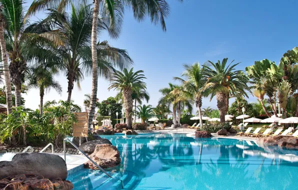 Wallpaper palm trees, pool, resort, Palma de Mallorca, Baleares