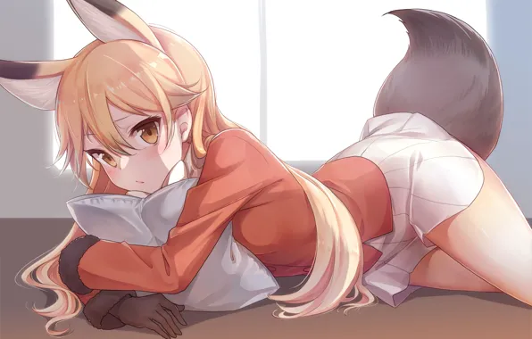 Girl, ears, ponytail, Fox, kemono friends, konnyaku, ezo red fox