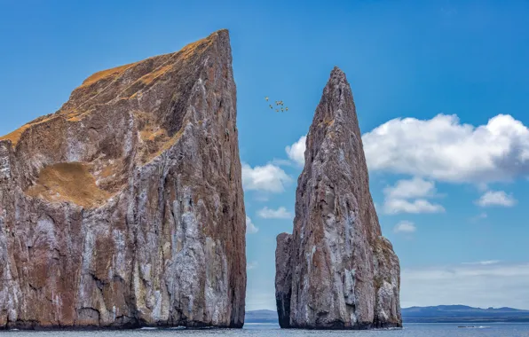 Sea, clouds, birds, rocks, Ecuador, Galapagos