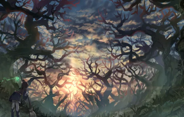 Forest, girl, sunset, Little Witch Academia, Kagari Atsuak