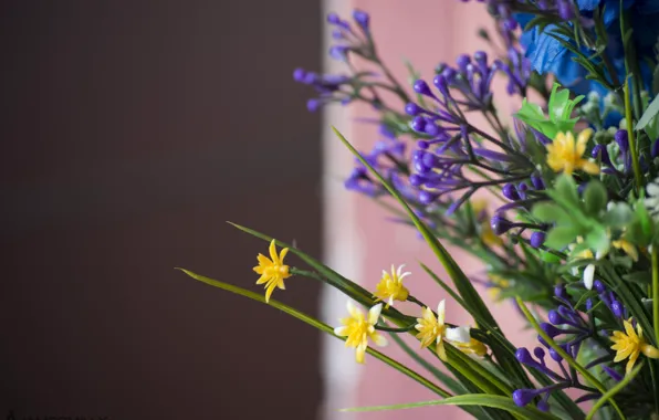 Macro, flowers, blue, yellow, bouquet, brown