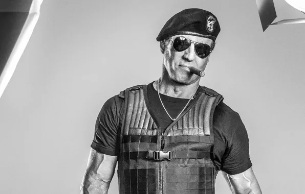 Sylvester Stallone, Sylvester Stallone, Barney Ross, The Expendables 3, The expendables 3