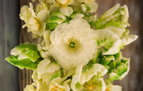 Macro, bouquet, tulips, Ranunculus