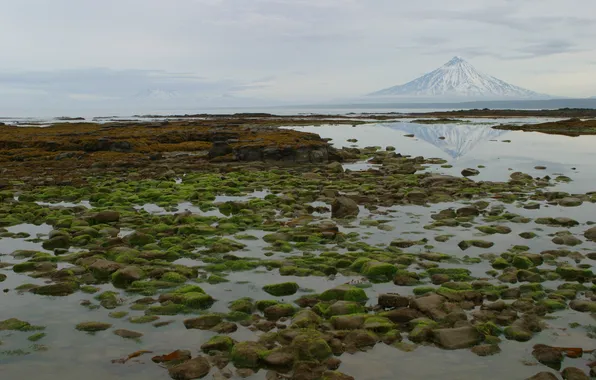 Sea, the sky, mountains, nature, stones, photo, moss, Kamchatka
