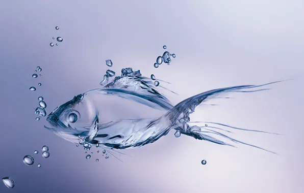 Water, bubbles, minimalism, fish, bubbles, minimalism, water, figure