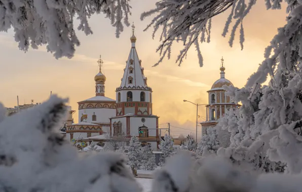 Picture winter, snow, branches, temple, Russia, the bell tower, Irkutsk, Cathedral of the Epiphany