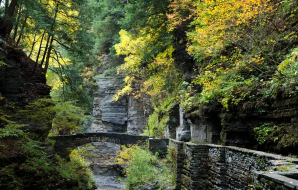 Picture Bridge, Autumn, Rocks, USA, USA, Nature, Fall, Bridge