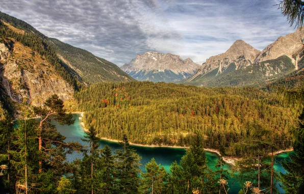 Forest, mountains, river, HDR