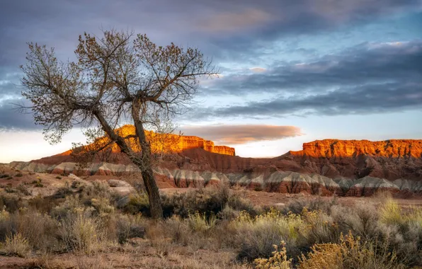 United States, Utah, Hanksville