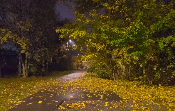 Autumn, leaves, trees, night, October, lights, Moscow, Russia