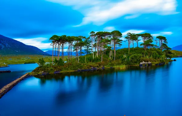 The sky, trees, lake, island, pine, Ireland, water surface, Ireland