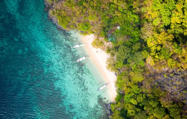 Picture sea, beach, summer, trees, landscape, nature, coast, island