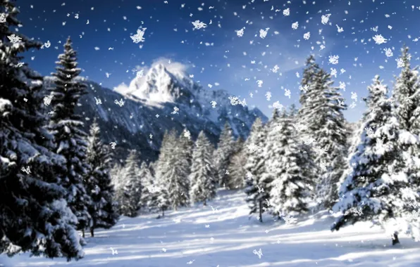 Cold, winter, frost, macro, snow, trees, mountains, snowflakes