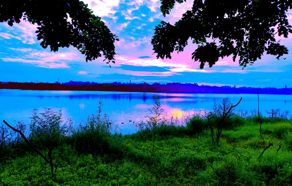 Sky, Grass, Water, Sunrise, Dawn, Morning, Lake, Trees